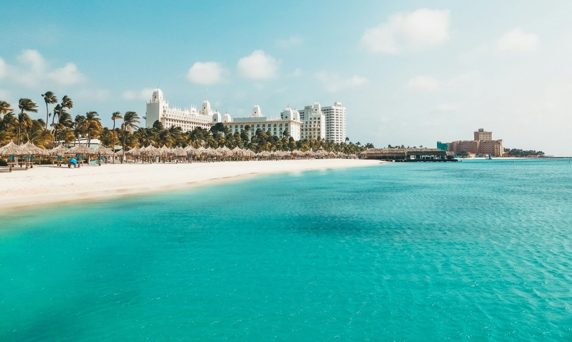Palm - Eagle Beach