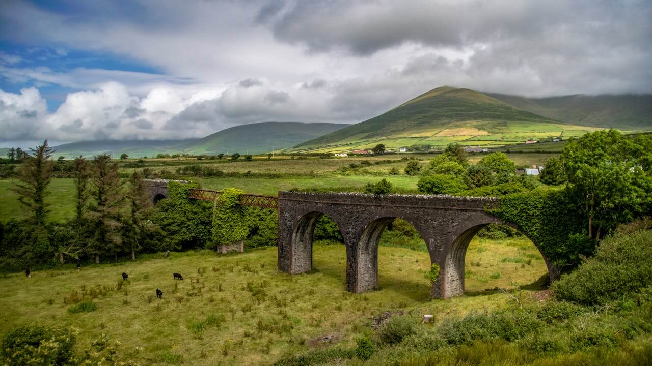 Dingle