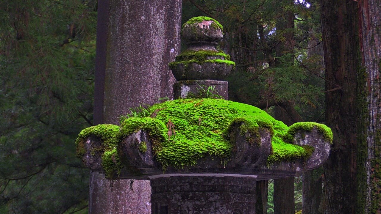 Nikko