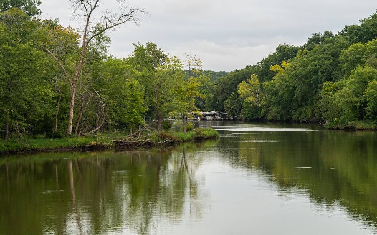 The Lake of the Ozarks