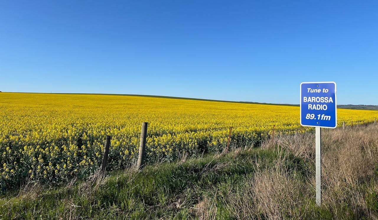 Barossa Valley