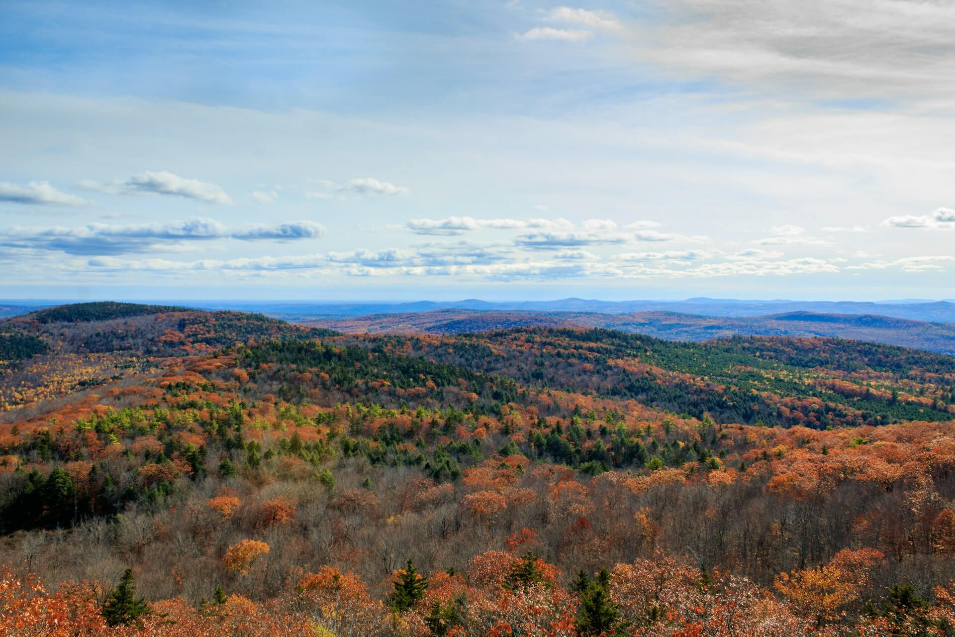 White Mountains