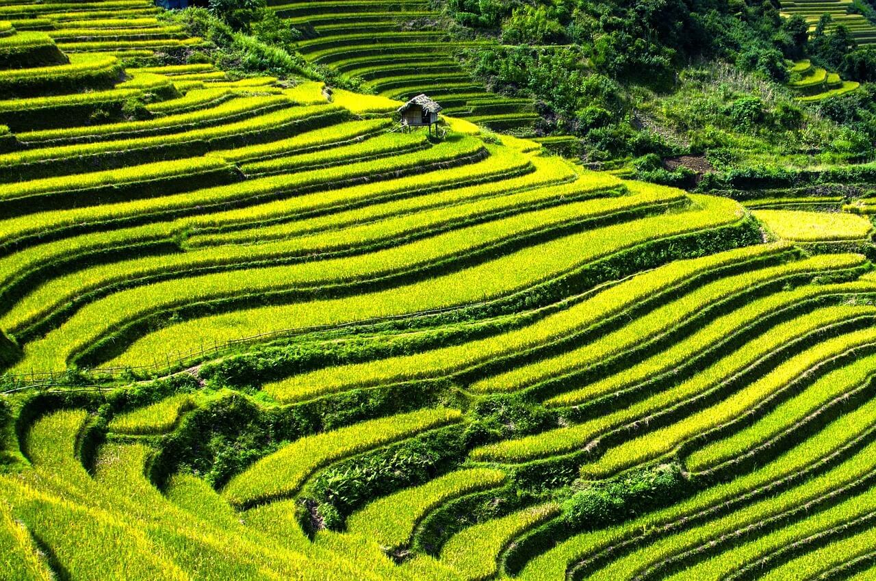Lao Chai