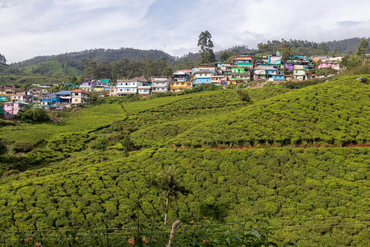 Munnar