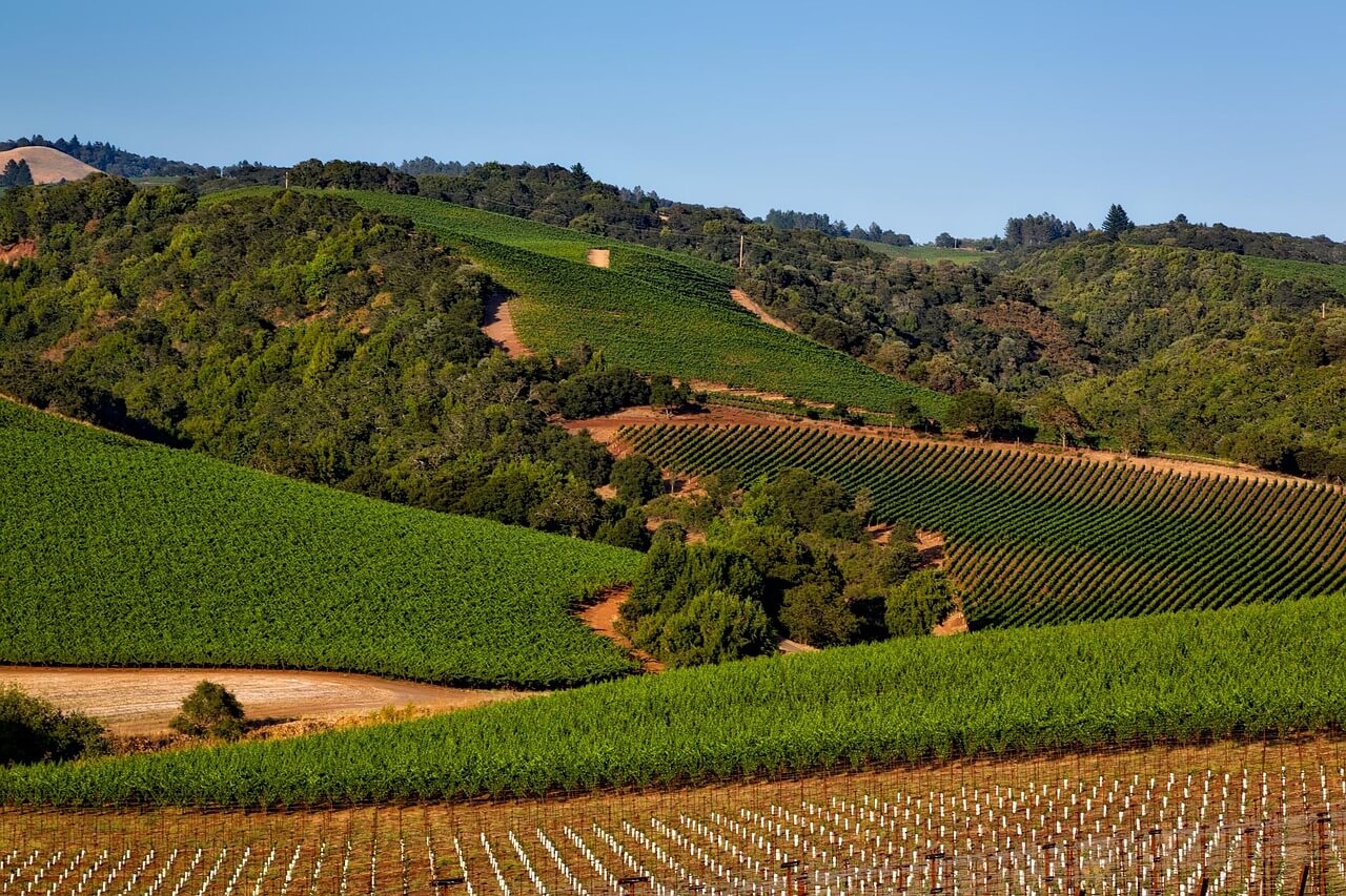 Napa & Sonoma