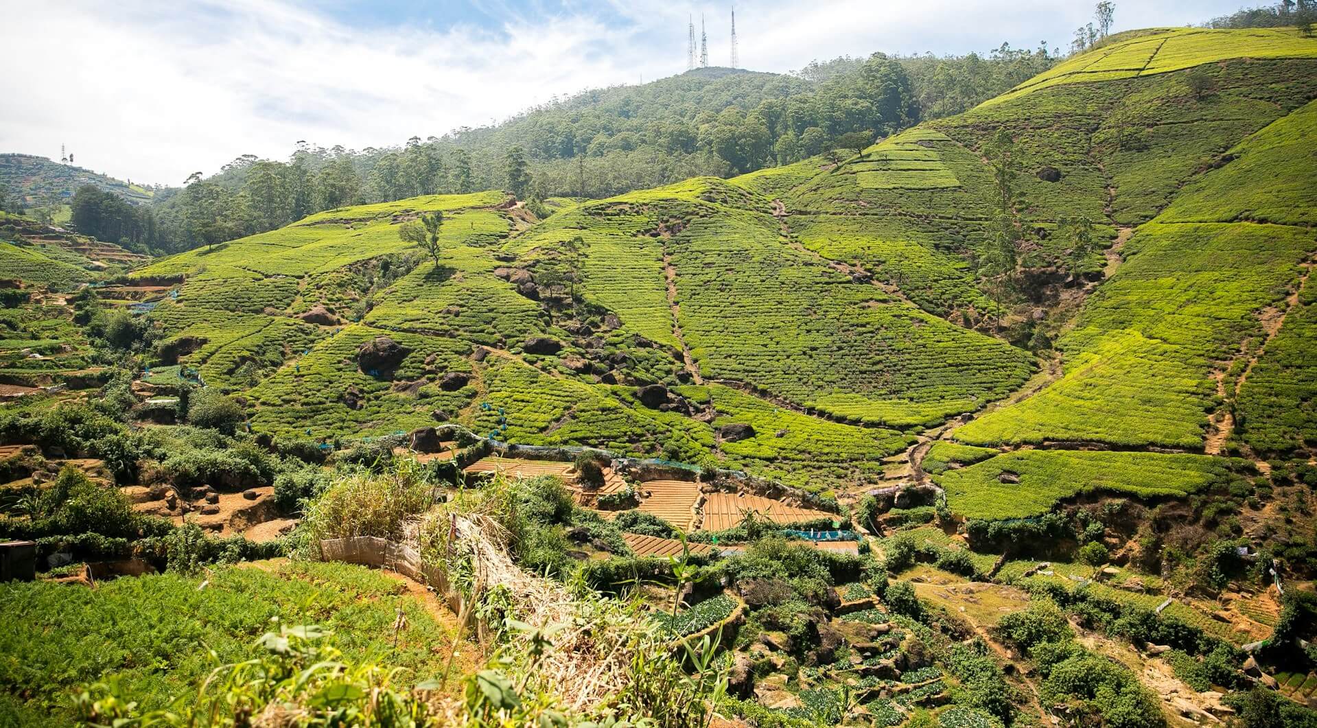 Nuwara Eliya