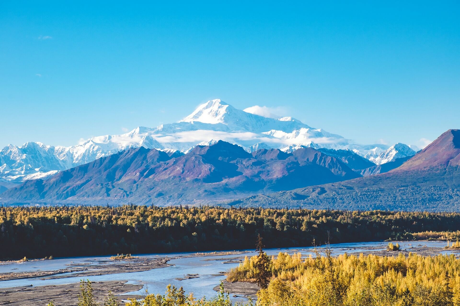 Denali National Park