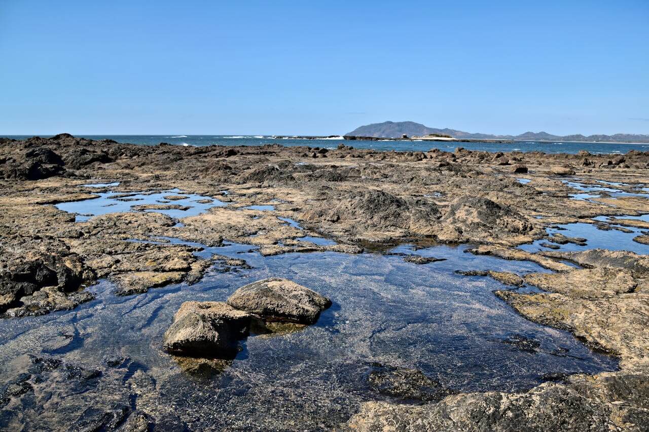 Tamarindo
