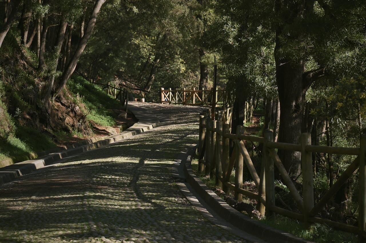 Concepcion