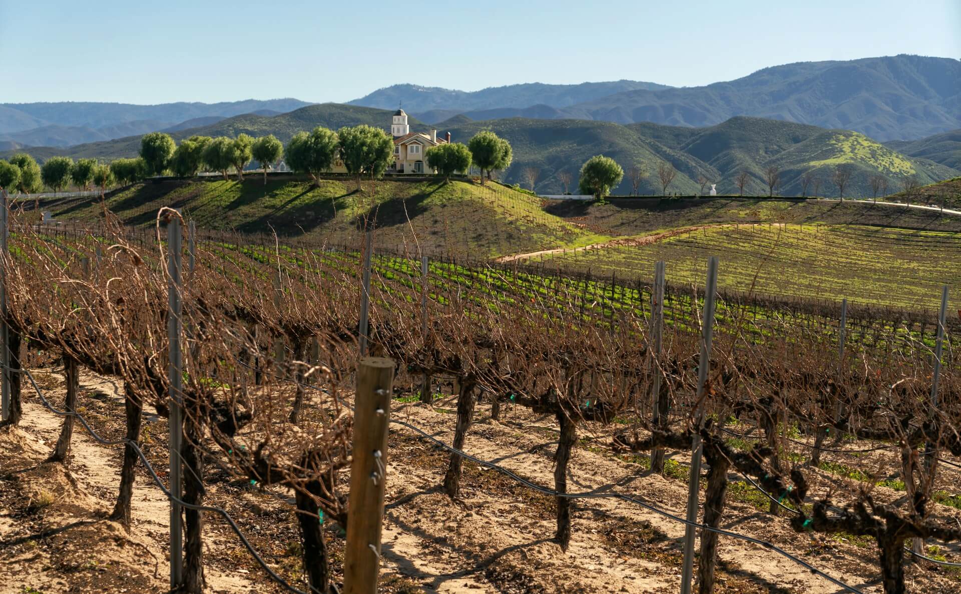Temecula