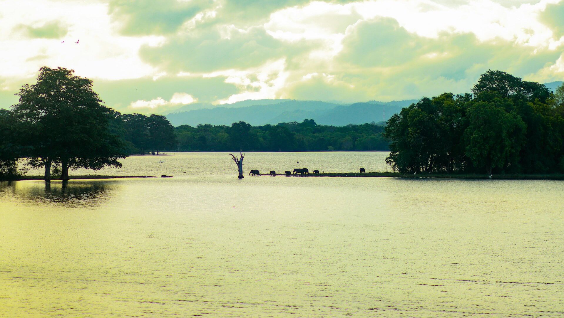 Udawalawa