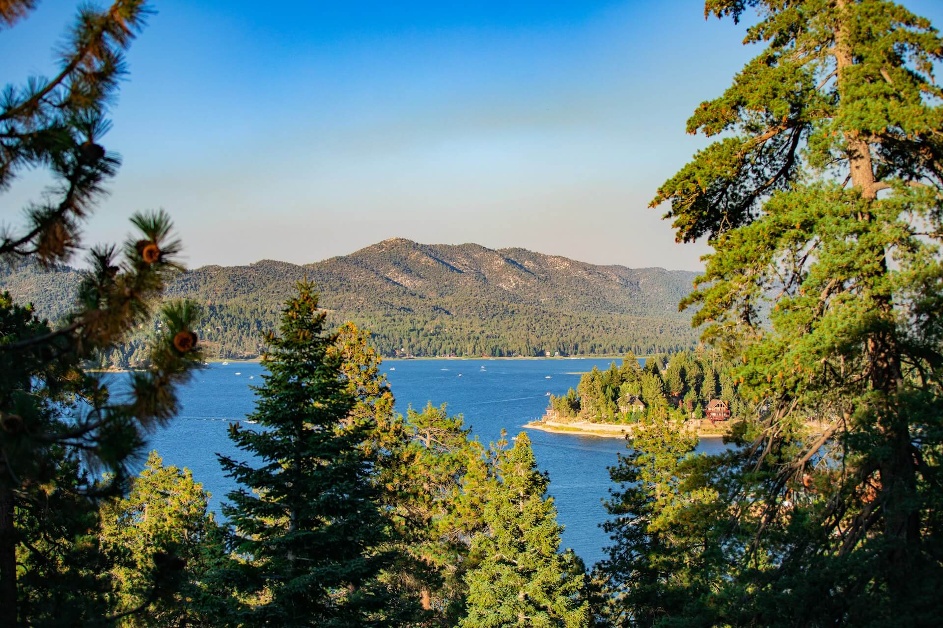 Big Bear
