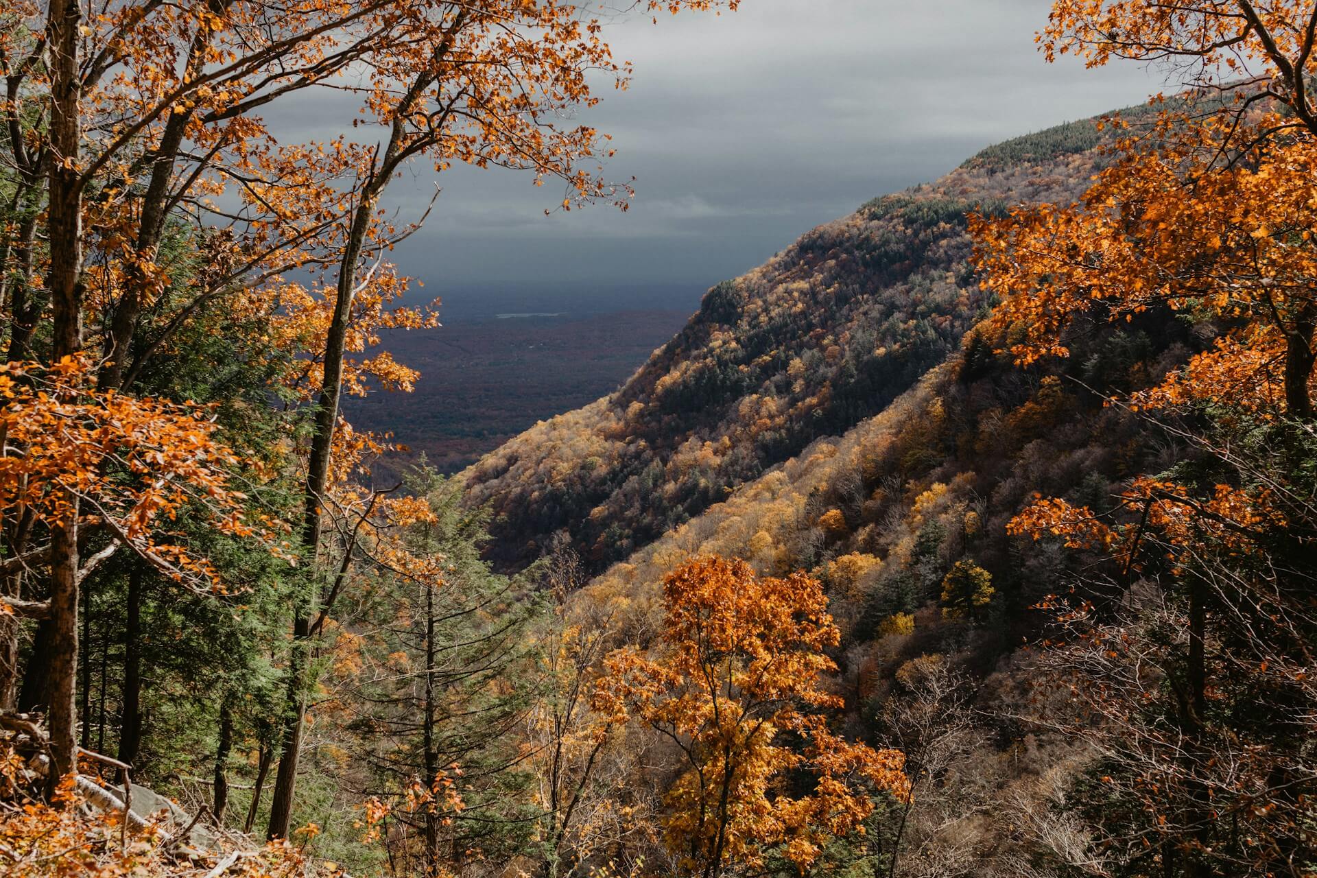 The Catskills