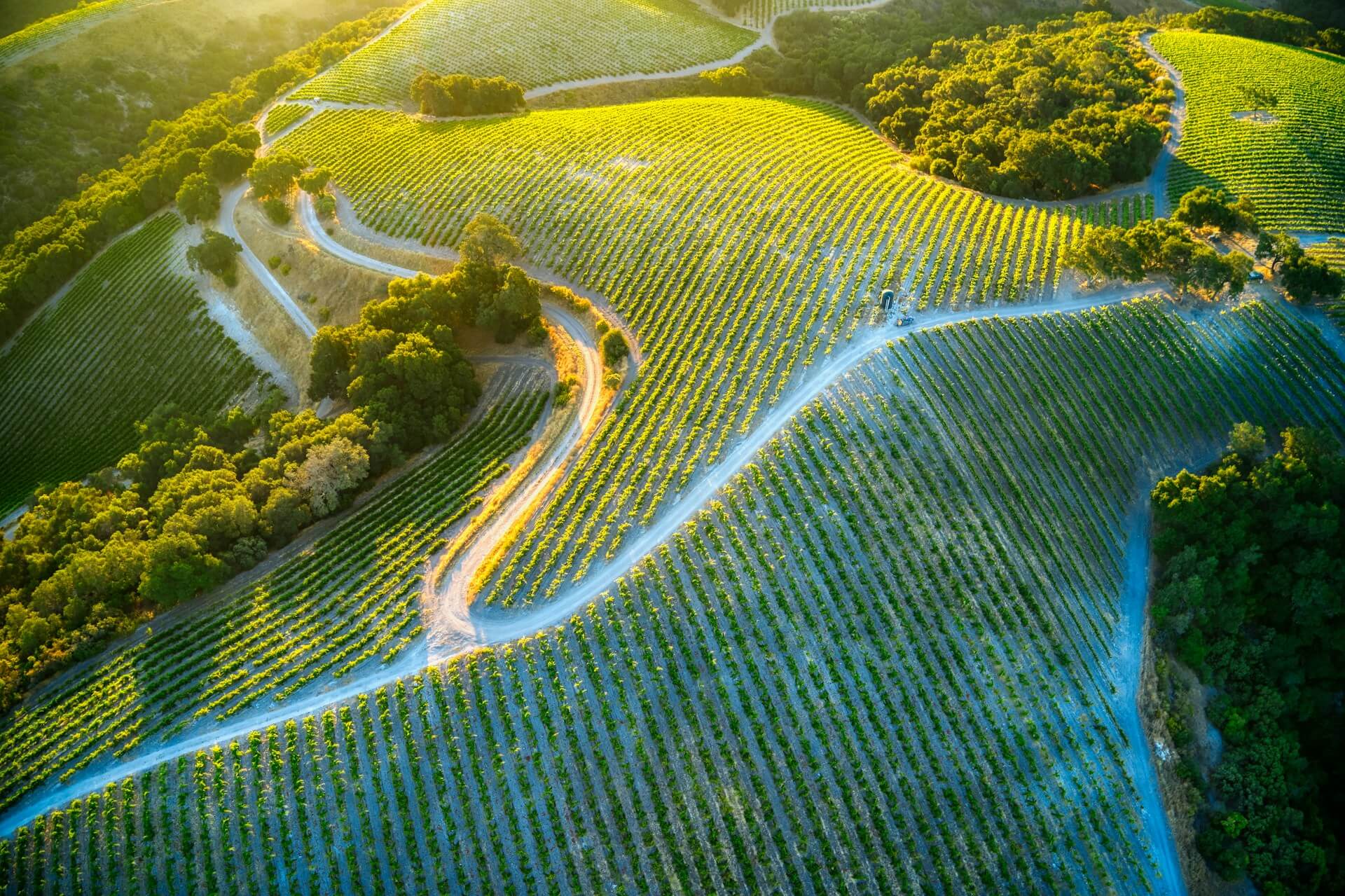 Paso Robles