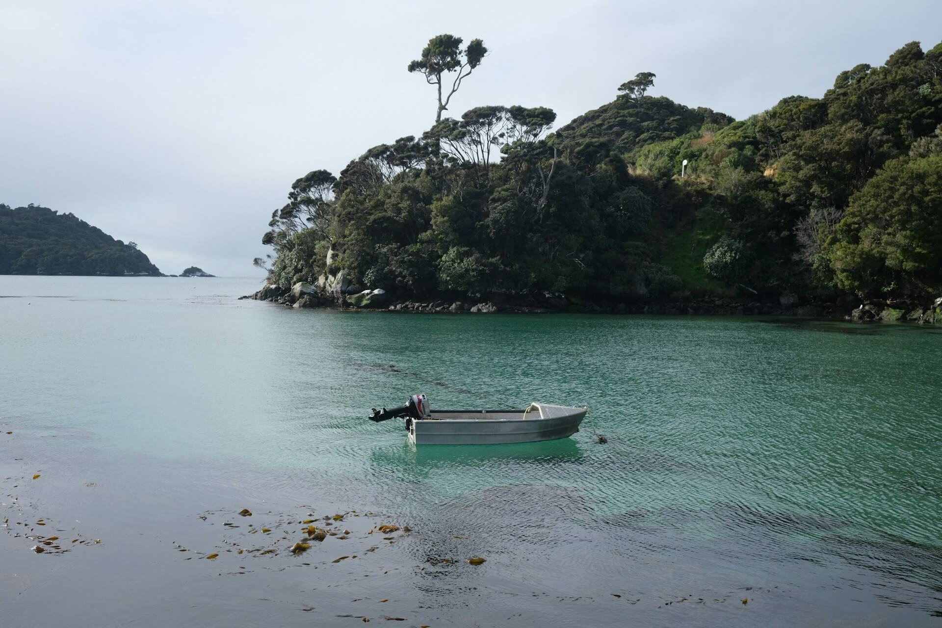 Stewart Island / Rakiura