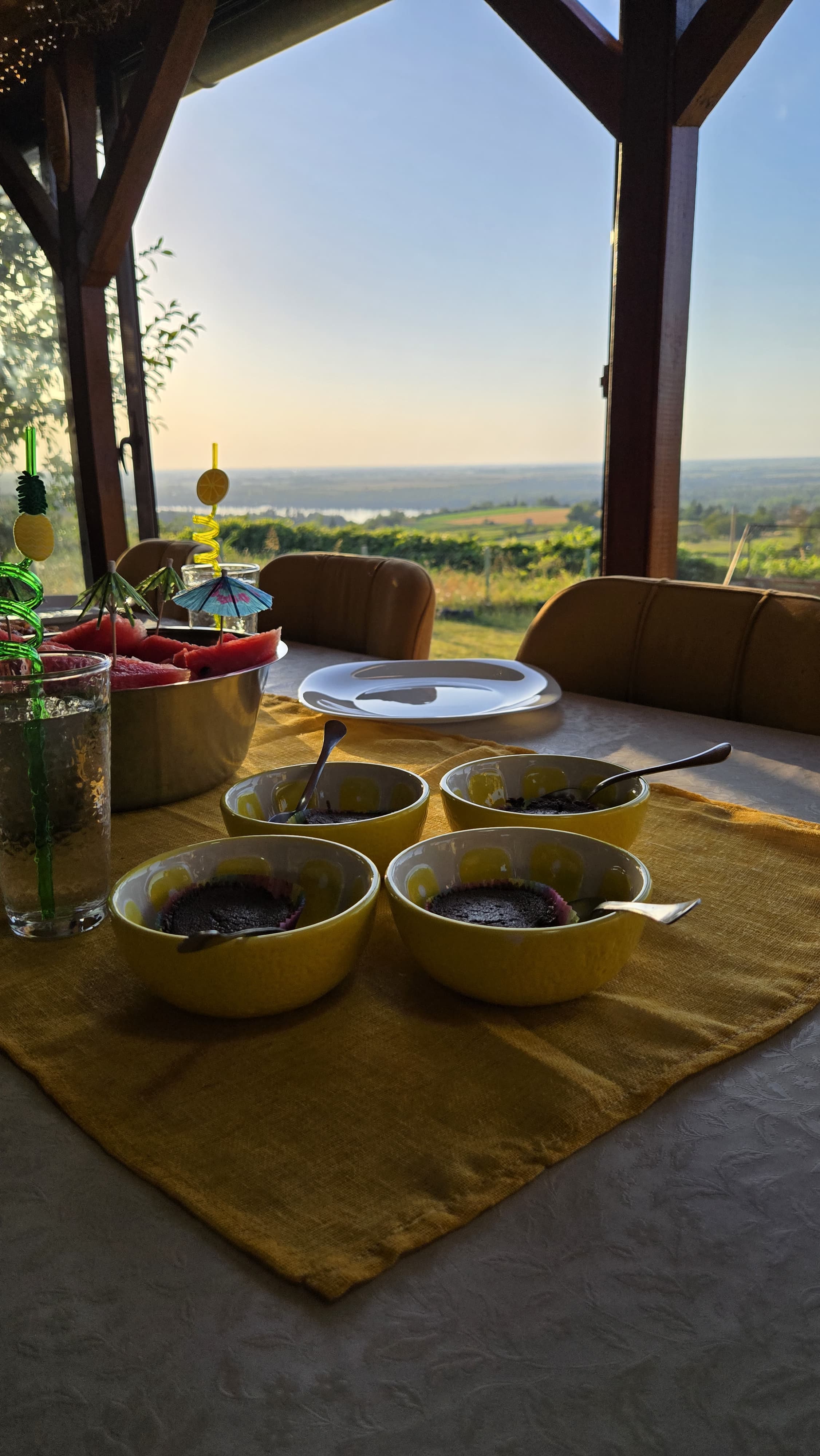 Kuća Čerevićki Vidikovac