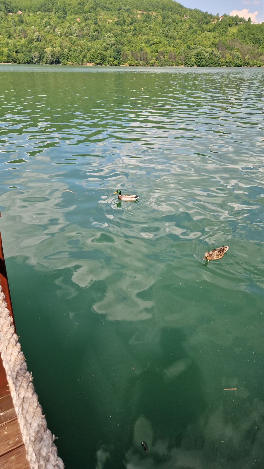 Victoria Lake Hous