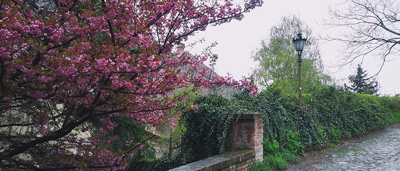 Petrovaradinska tvrđava