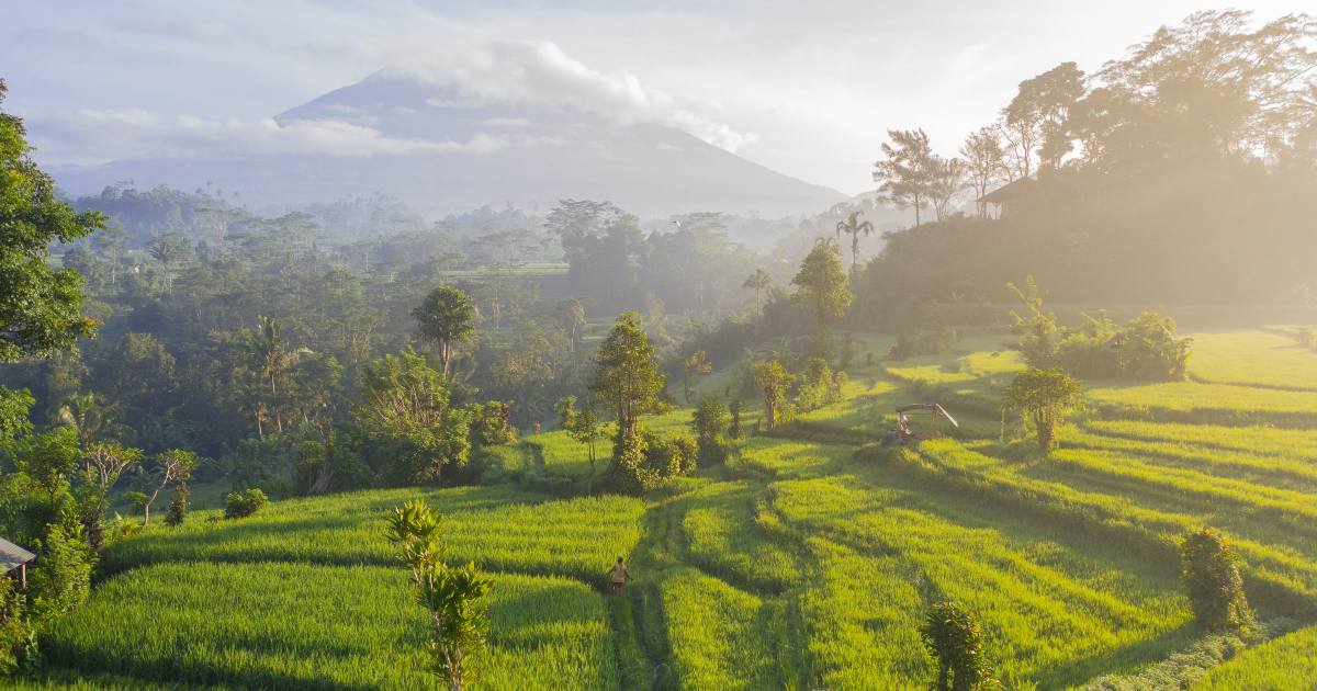Indonesia